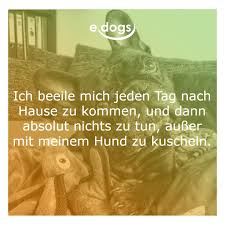 Hundeliebe Spruche Hunde Hundespruche Hunde Vermittlung