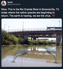 49 Memes that Prove Humans Are the Real Virus - Funny Gallery