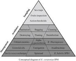 Integrated pest management (ipm) is the implementation of diverse methods of pest controls the concept of ipm was hatched in the 1970 through the environmental movement that resulted in part from the purported pesticide use abuses that were described in rachel carsons 1962 book, silent spring. Integrated Pest Management Ipm For Ectomyelois Ceratoniae On Date Palm Sciencedirect