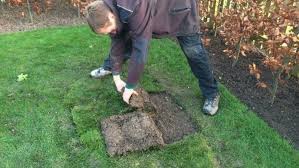 What direction should you lay sod? How To Repair Your Lawn With Turf The Lawn Store