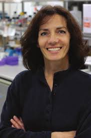 Mayo MagazineSummer 2007