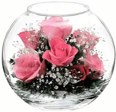 @lungu danutzu, am senzatia ca asta e ocupatia ta, orice test, orice obiect, lucru, cauti articole, poze. Imagini Cu La Multi Ani La Multi Ani Facebook