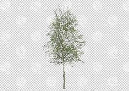 Axebe is free to use for anyone who wants to bring their visualizations of unbuilt architecture to развернуть. Gobotree Cut Out Of Tree During Spring