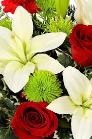 Check spelling or type a new query. From You Flowers