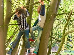 F#5 e5 ich hasse kinder f#5 e5 ich hasse kinder. Die Kinder Von Heute Durfen Fast Alles Und Zu Jeder Zeit Kommt Nur Mir Das So Vor Ein Gastbeitrag Ganz Normale Mama
