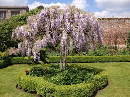 Pin By Astek Garden Design Build On Gardening Tips Garden Plants Design Public Garden Garden Projects