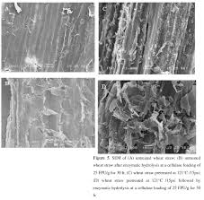 Maybe you would like to learn more about one of these? Scielo Brasil Alkali Pretreated Of Wheat Straw And Its Enzymatic Hydrolysis Alkali Pretreated Of Wheat Straw And Its Enzymatic Hydrolysis