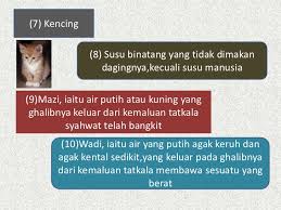 Keluarnya air ini disebabkan syahwat yang muncul ketika seseorang memikirkan atau. Is Mazi Najis