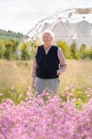 I am a professional graphic designer and a garden lover. Exclusively Tour Piet Oudolf S Vitra Garden Wallpaper