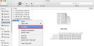 The first place to look for your deleted files on mac is the trash folder, as most probably, you'll find your deleted files lurking there. How To Recover Deleted Files On Mac With Without Software