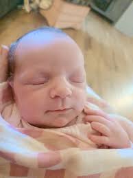 Honey & Clove Bistro