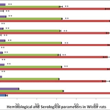 Image result for Cienfuegosia digitata