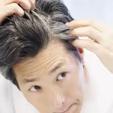 This method of hair removal is very effective as here you are pulling out the white hair from its root. How To Stop White Hair From Growing Quora