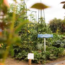 Botanischer garten der universität würzburg. Projekt Meine Ernte Gemusegarten Am Oerding S Hof In Neuss