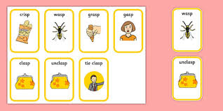 Image result for sp.