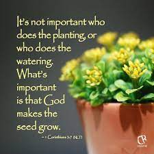 Generally observed traditions across the globe include the easter bunny, colored eggs, gift baskets, and flowers. Pin On Garden Art