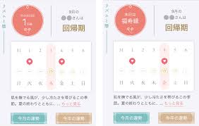 運勢 グラフ 生年 月 日