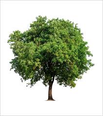 James H. Polzin Obituary (2023)