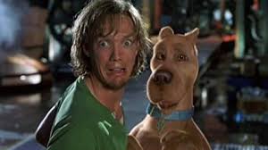 Hooch is a french mastiff and becomes the unlikely partner of tom hank's character, detective scott turner. Scooby Doo 2002 Imdb