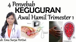 Tanda tangani dokumen dan minta tanda tangan elektronik. 4 Penyebab Keguguran Awal Hamil Kehamilan Abnormal Trimester Pertama Dr Ema Surya P Youtube