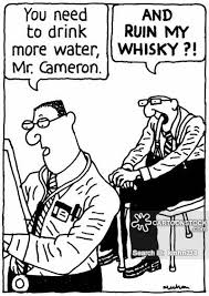 Whiskey lovers engraved personalized whiskey glasses image when you purchase our six best selling famous whiskey quotes , you receive six (6) glasses, but only pay for. Whisky Jokes And Quotes Funstuff Alternative Whisky Academy Awa Your Guide To Whisky Whiskey And Bourbon