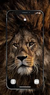 Great compilation of nice cover, photos and pictures with lion high resolution, more then 15 cover we've collected in this post. Lion Wallpapers Angry 4k Hd Lion Pictures App Store Data Revenue Download Estimates On Play Store