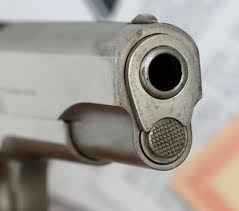 Image result for Le Havre Beige 1987 Colt