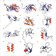 The fda approved the first hepatitis c virus protease inhibitor in 2011. Peptide Based Protease Inhibitors From Plants Sciencedirect