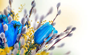 Cornice color oro da appendere con fiori pressati piccola. Fiori Blu 13 Natura Foto Fiori Fiori Blu Ac7877 Stampa Con Cornice Foto Nature