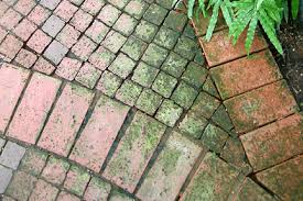 Learn how to safely and properly remove mold from wood surfaces. How Do I Remove Green Algae From My Patio Patio Comfy