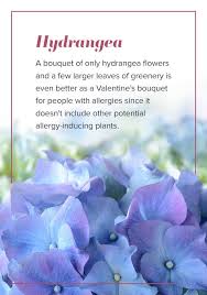 What better way to acknowledge your love to a special person than to give him/her a bunch of fresh gurpurab images and wishes. Alternative Flowers For Valentine S Day Ode A La Rose
