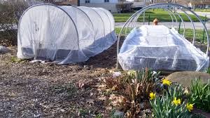 Please account for longer shipping time. More On Our Greenhouse Martin Wolske S Blog