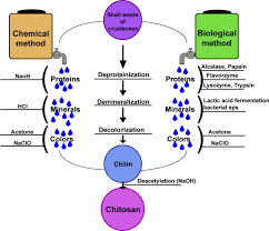 What is the chemical composition of stars?. Chitosan Based Nanosystems Exploitation In The Agri Food Sector Sciencedirect