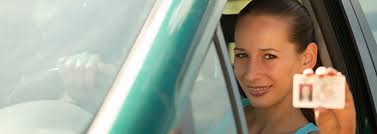 What are you looking for? New Driver S Licenses Vehicle Registration
