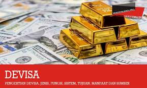 Pengertian Devisa Jenis Fungsi Sistem Tujuan Dan Manfaat