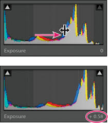 Vote for forum moderators !!! How To Adjust Image Tone And Color And Work In Grayscale In Lightroom Classic