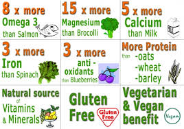 Image result for chia seeds