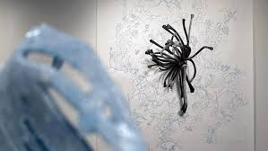 Image result for Lettowianthus stellatus