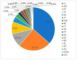We did not find results for: Biomolecules Free Full Text Vascular Epiphytic Medicinal Plants As Sources Of Therapeutic Agents Their Ethnopharmacological Uses Chemical Composition And Biological Activities Html