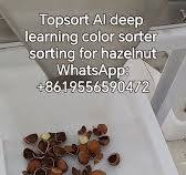 TOPSORT COLOR SORTER - YouTube