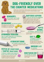 Pin By Kristin Hedrick On This And That Meds For Dogs Dog Friends Dog Remedies