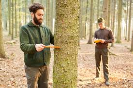 Top 50 Best Outdoor Jobs For Outdoorsmen Careers Outside Of The Office