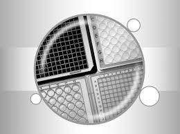 Smf asia pacific sdn bhd employees size. 2