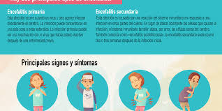 Los diferentes virus se presentan en diferentes lugares. Infografia La Encefalitis Y Sus Principales Signos Y Sintomas Grupo Health Care