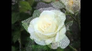 **no copyright infringement intended** cat music has the full copyright of all this song. Directia 5 La Multi Ani Youtube