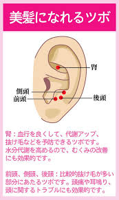 小顔 美肌になれる美容に効果的な耳つぼ ダイエットなら美wise 耳つぼダイエット 健康と美容 ダイエット