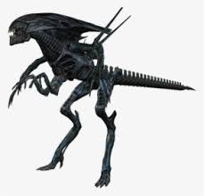 Alien Queen Png Images Free Transparent Alien Queen Download Kindpng Sci fic xenomorph alien queen warrior. alien queen png images free
