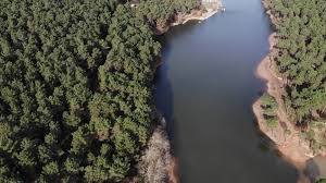 Aydos gölet i̇stanbul • aydos gölet i̇stanbul photos • aydos gölet i̇stanbul location • aydos gölet i̇stanbul address • aydos gölet i̇stanbul • aydos göl başı i̇stanbul • aydos gölet i̇stanbul • aydos gölü i̇stanbul • aydos gölet akpınar i̇stanbul Istanbul Da Aydos Golu Alarm Veriyor Ntv