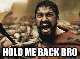 Hold Me Back Bro Hold Me Back Bro Quickmeme