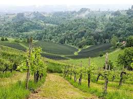 Styria is a state (bundesland) in the southeast of austria. Sudsteiermark Austria The South Styrian Wine Road